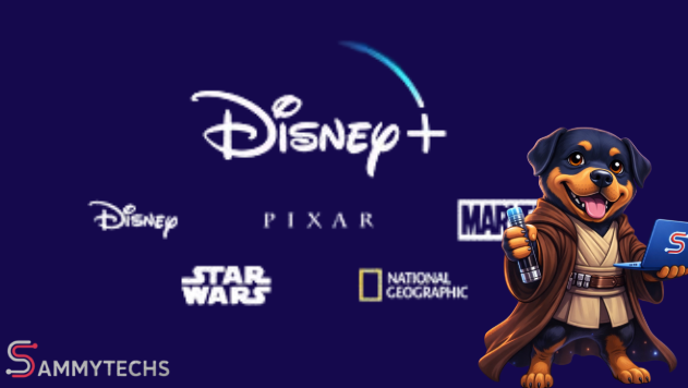 PERFIL DISNEY + STAR  STANDARD